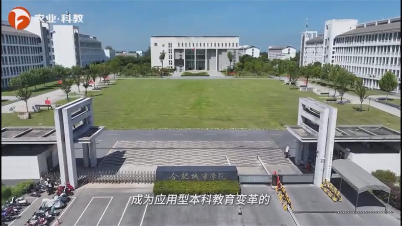 合肥城市学院匠心筑梦，青春学子就业启航(图1)