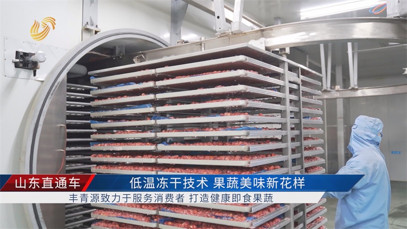 上海CBME孕婴童展丰青源以低温冻干技术，开发果蔬美味新花样(图3)