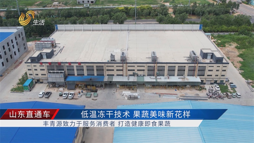 上海CBME孕婴童展丰青源以低温冻干技术，开发果蔬美味新花样(图4)