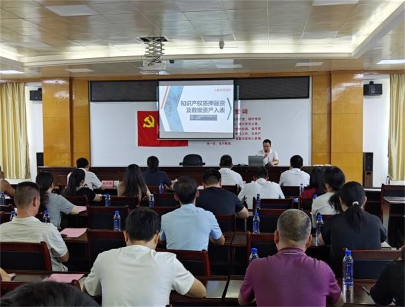 “知识产权质押融资入园惠企” 系列专题活动（汕尾专场）圆满成功(图4)