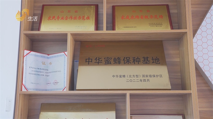 从深山“小蜂箱”跃入国家级名录，蒙阴蜂蜜绘就乡村振兴甜蜜新景(图3)
