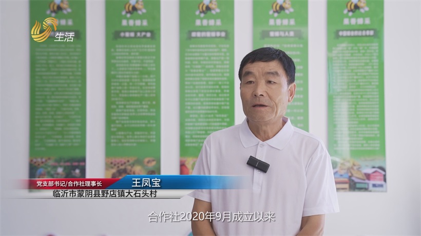 从深山“小蜂箱”跃入国家级名录，蒙阴蜂蜜绘就乡村振兴甜蜜新景(图4)