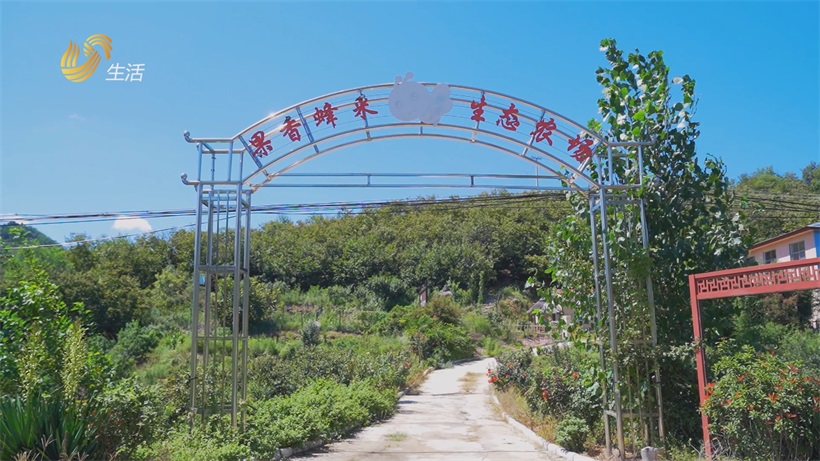 从深山“小蜂箱”跃入国家级名录，蒙阴蜂蜜绘就乡村振兴甜蜜新景(图1)